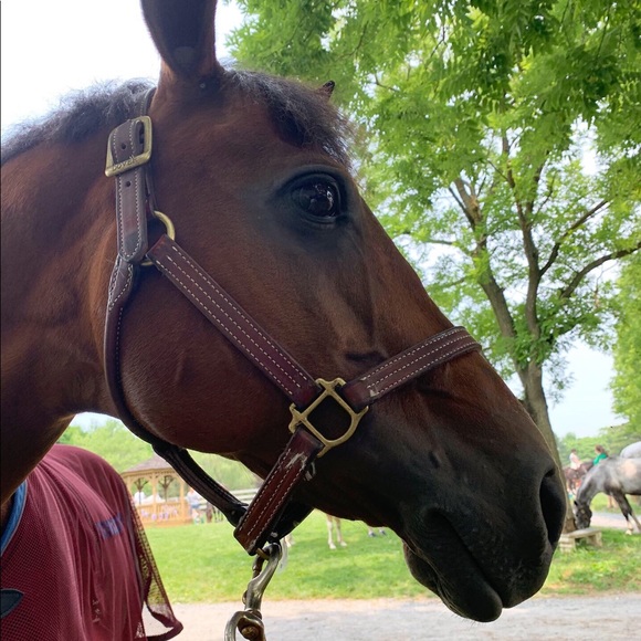 Meet the Posher Other - Meet your Posher, Karlee